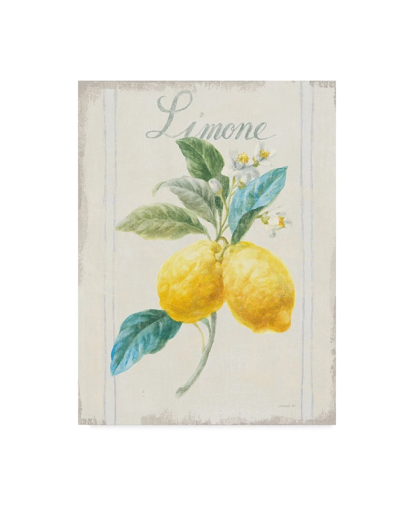 Danhui Nai Floursack Lemon Iii V2 Canvas Art - 20" x 25"