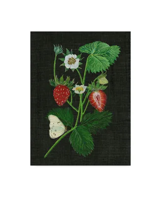 Melissa Wang Strawberry Fields I Canvas Art
