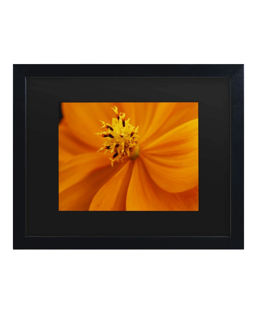 Kurt Shaffer Orange Flower Matted Framed Art - 15" x 20"