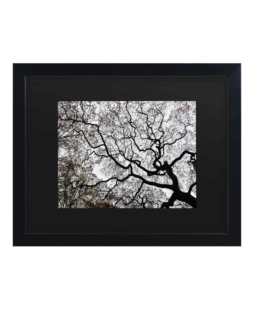 Kurt Shaffer Japanese Maple Spring Abstract Ii Matted Framed Art - 15" x 20"