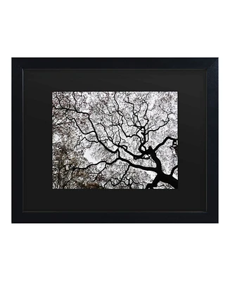 Kurt Shaffer Japanese Maple Spring Abstract Ii Matted Framed Art - 15" x 20"