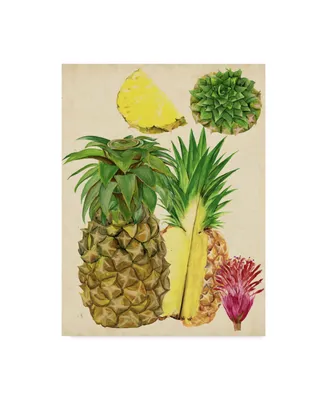 Melissa Wang Tropical Pineapple Study I Canvas Art