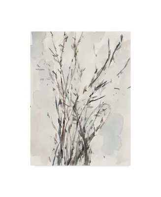 Samuel Dixon Watercolor Branches I Canvas Art