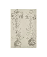 Vision Studio Fresco Floral Beige Ii Canvas Art - 37" x 49"