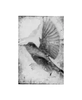 Ingrid Blixt B&W Flight Ii Canvas Art - 15" x 20"