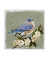 Victoria Borges Bluebird Branch I Canvas Art