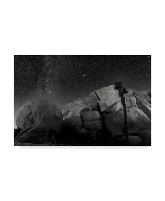 American School Joshua Tree Sea of Stars Canvas Art - 20" x 25"