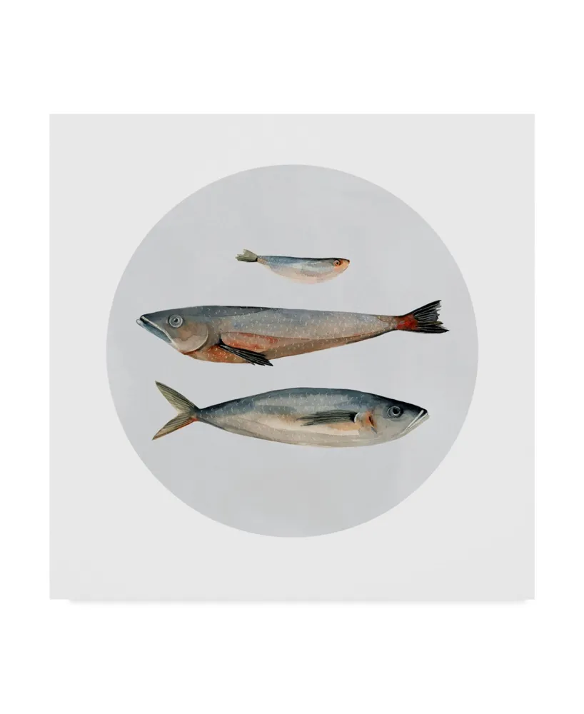 Emma Scarvey Three Fish Ii Canvas Art - 15" x 20"