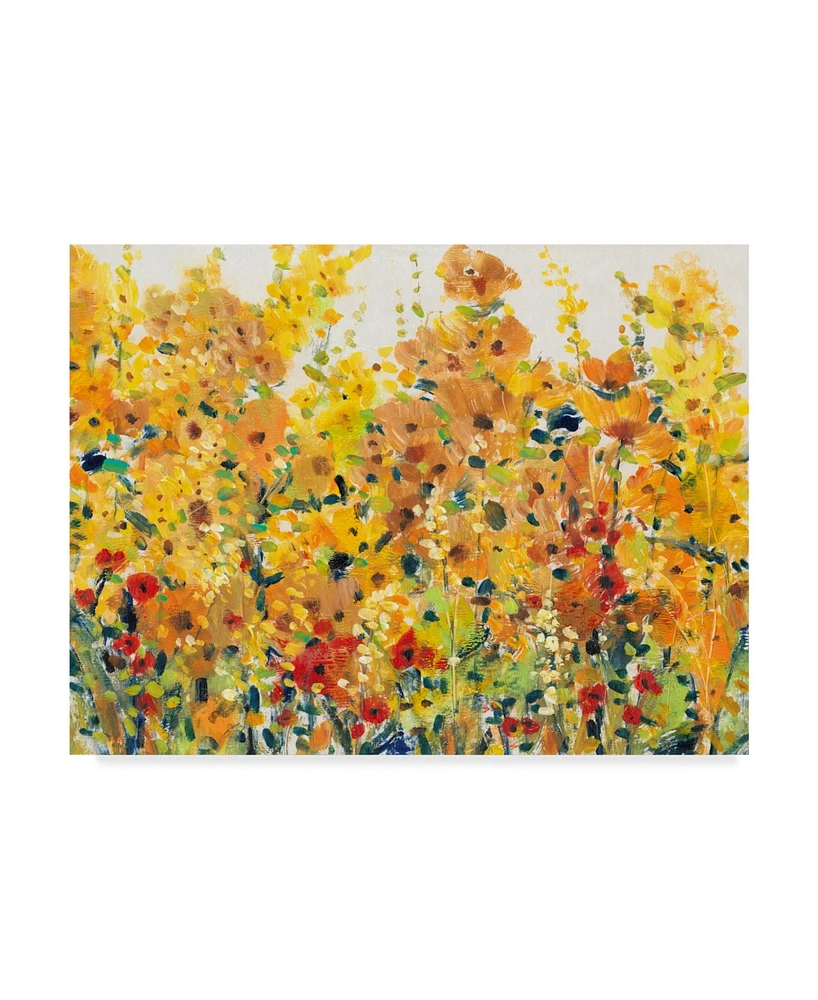 Tim Otoole Golden Summer Garden I Canvas Art