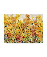 Tim Otoole Golden Summer Garden I Canvas Art