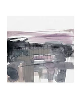 Jennifer Goldberger Blush Plane I Canvas Art - 20" x 25"