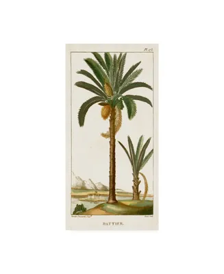Turpin Turpin Exotic Palms Iv Canvas Art