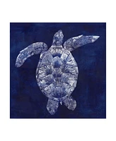 Grace Popp Sea Turtle Shadow Ii Canvas Art - 20" x 25"