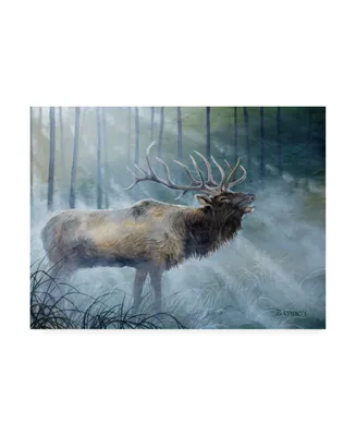 B. Lynnsy Elk Journey Iii Canvas Art - 20" x 25"