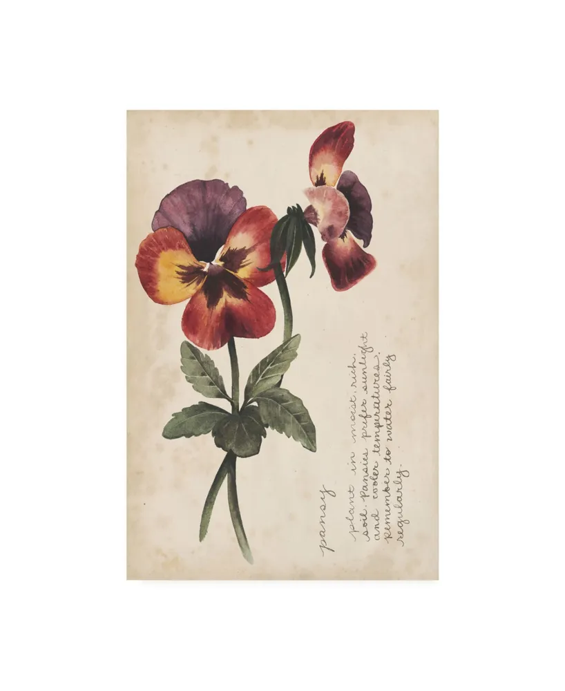 Grace Popp Garden Studies Ii Canvas Art