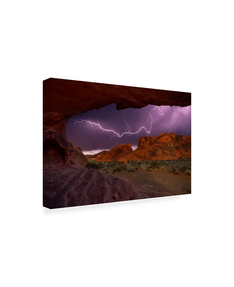 Darren White Photography Desert Storm Canvas Art - 36.5" x 48"