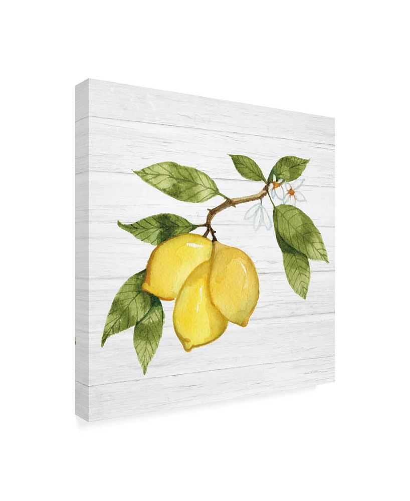 Kathleen Parr McKenna Citrus Garden I Shiplap Canvas Art