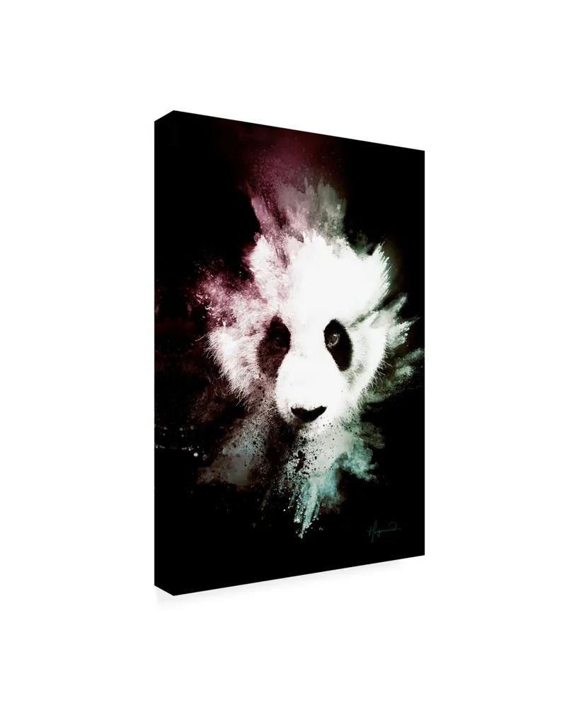 Philippe Hugonnard Wild Explosion Collection - the Panda Canvas Art