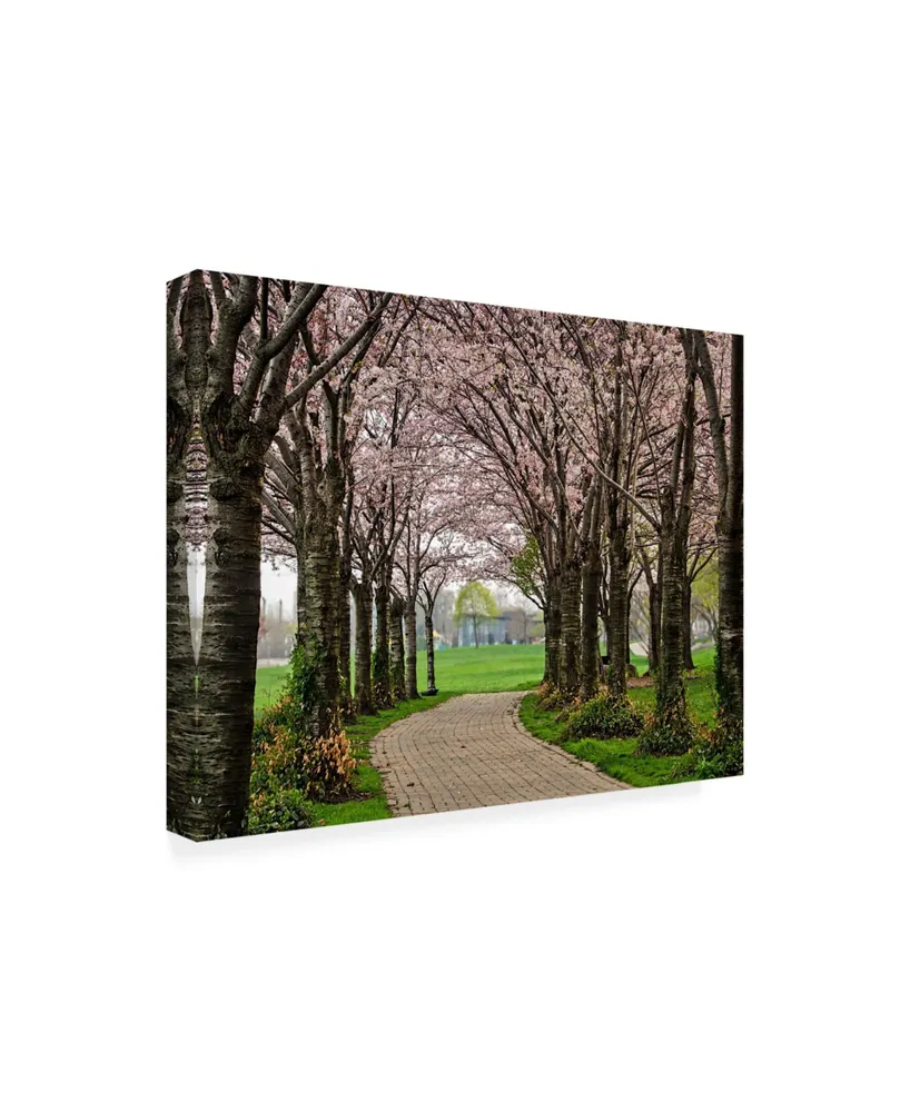 Chuck Burdic Cherry Blossom Winding Path Canvas Art