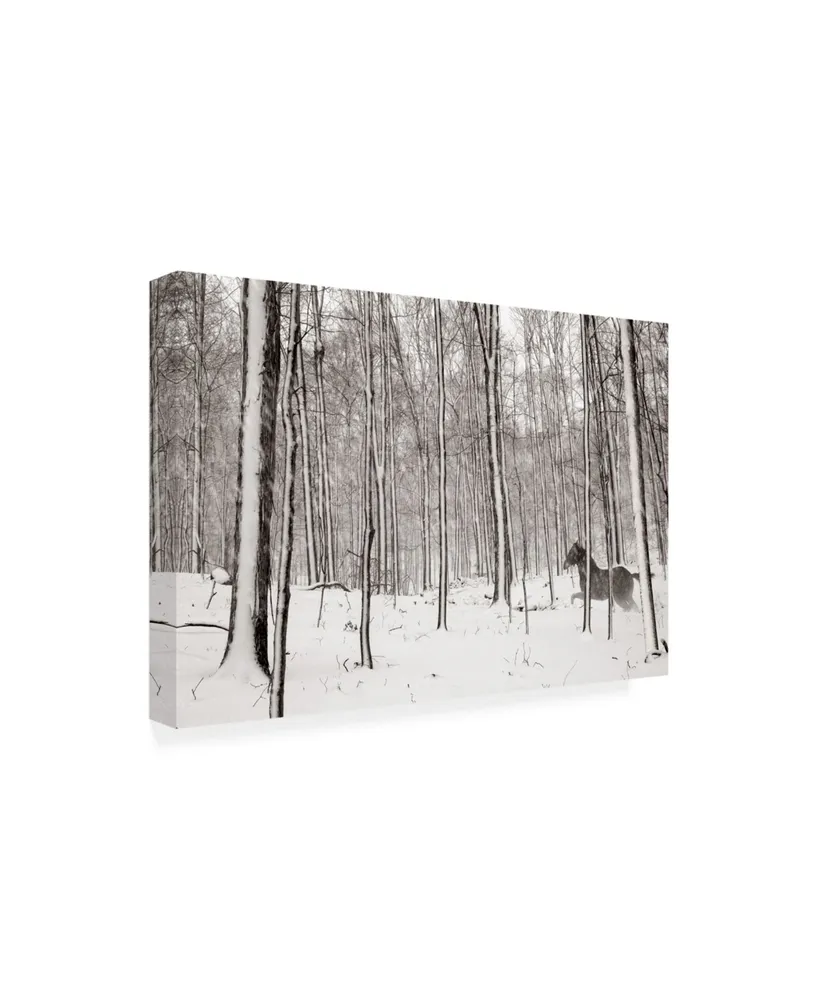 James Mcloughlin A Snowy Walk Ii Canvas Art