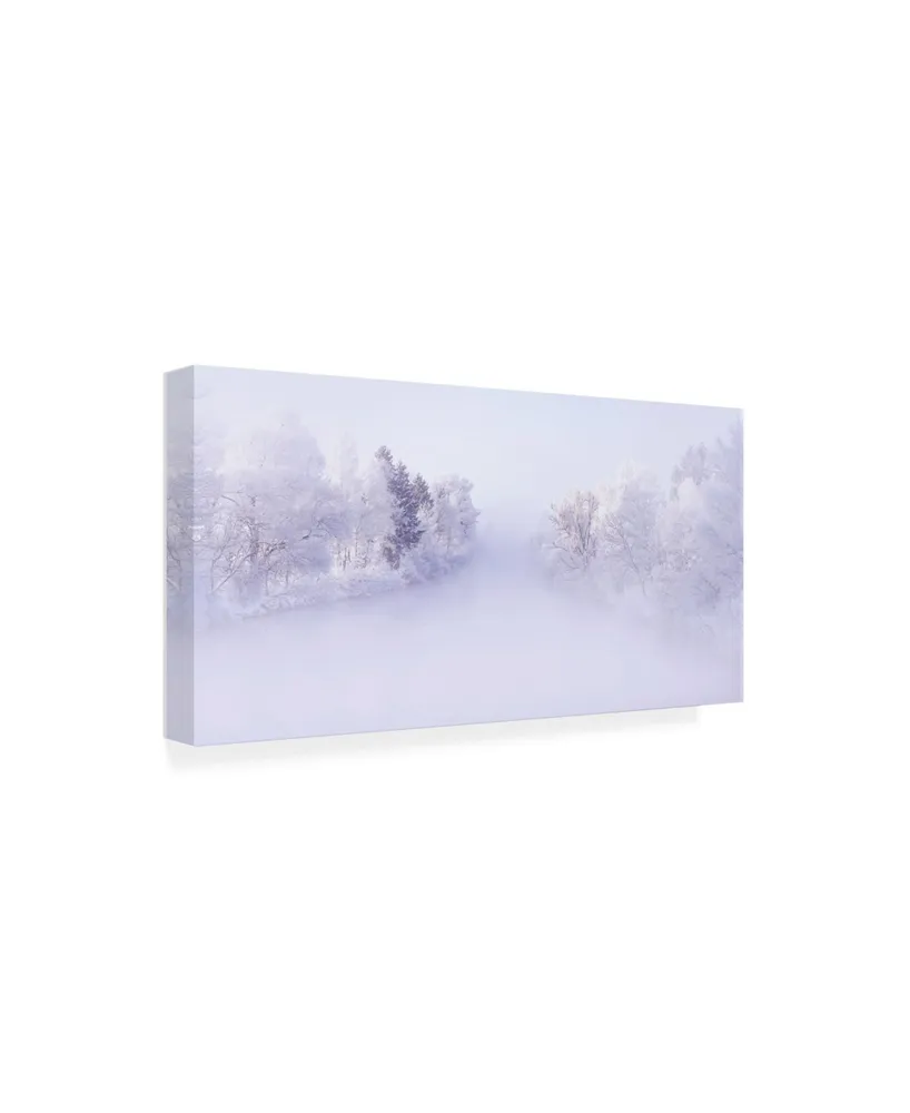 Norbert Maier Deep Winter Canvas Art - 37" x 49"