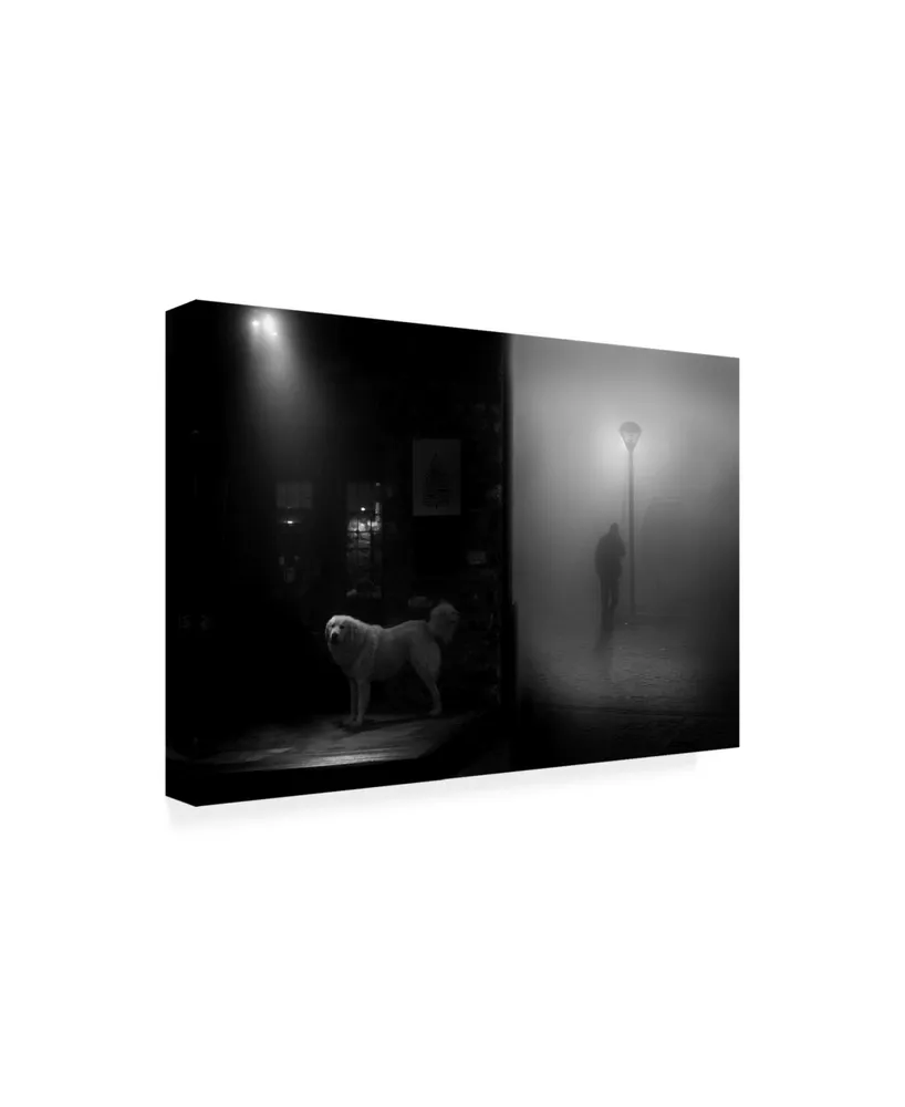 George Digalakis Darkness and Light Canvas Art