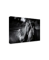 Aledanda Buddies Horse Canvas Art - 37" x 49"