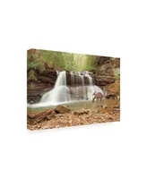 Monte Nagler Two Deer at Holly River Falls West Virginia Canvas Art