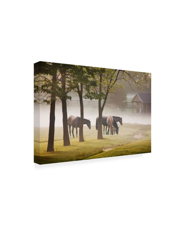 Monte Nagler Horses in the Mist Kentucky Color Canvas Art - 15" x 20"