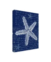 Fab Funky White Starfish on Blue a Canvas Art