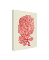 Fab Funky Red Corals 1 B Canvas Art