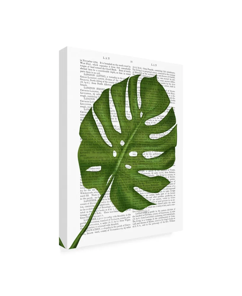 Fab Funky Monstera Leaf 1, Green on White Canvas Art