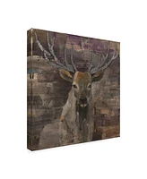 Albena Hristova The Leader Deer Canvas Art - 19.5" x 26"