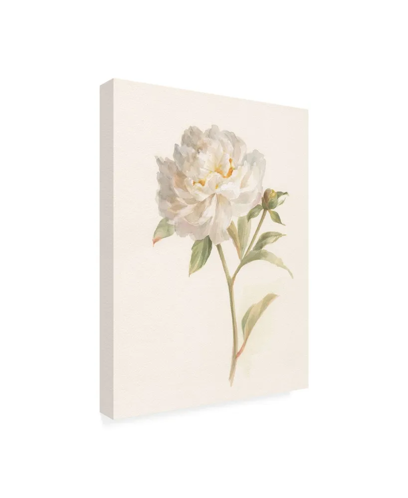 Danhui Nai Garden Peony Canvas Art