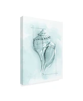 Megan Meagher Coastal Shell Schematic I Canvas Art - 19.5" x 26"