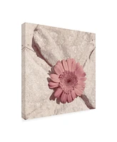 Jason Johnson Floral Canvas Art