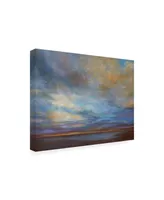 Sheila Finch Coastal Clouds I Canvas Art - 19.5" x 26"