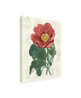 Vision Studio Peony Flower Garden I Canvas Art - 27" x 33.5"