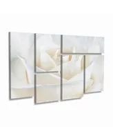 Cora Niele Pure White Rose Multi Panel Art Set 6 Piece - 49" x 19"