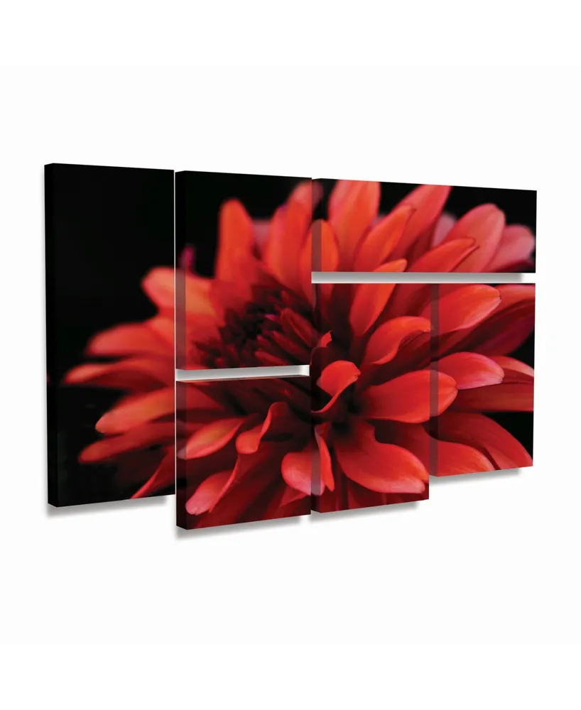 Kurt Shaffer Red Dahlia Multi Panel Art Set 6 Piece - 49" x 19"