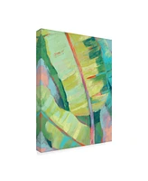 Jennifer Goldberger Vibrant Palm Leaves I Canvas Art - 37" x 49"