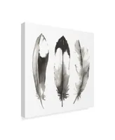 Grace Popp Watercolor Feathers Ii Canvas Art - 15" x 20"