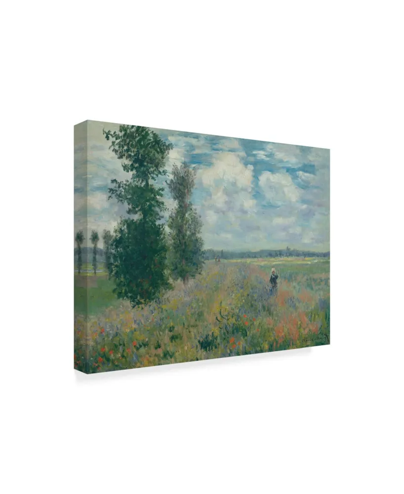 Claude O. Monet Poppy Fields Near Argenteuil Canvas Art - 20" x 25"