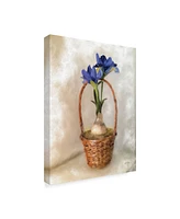 Lois Bryan Blue Dutch Iris Canvas Art - 20" x 25"