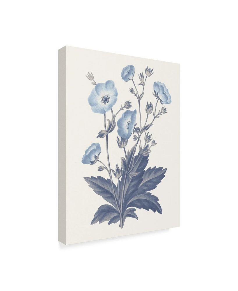 Wild Apple Portfolio Blue Botanical Vi Canvas Art - 37" x 49"