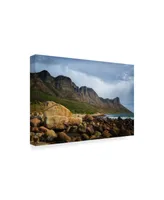 Pixie Pics Coastal Mountains Canvas Art - 20" x 25"