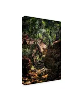 Pixie Pics Brush Forest Path Canvas Art - 37" x 49"