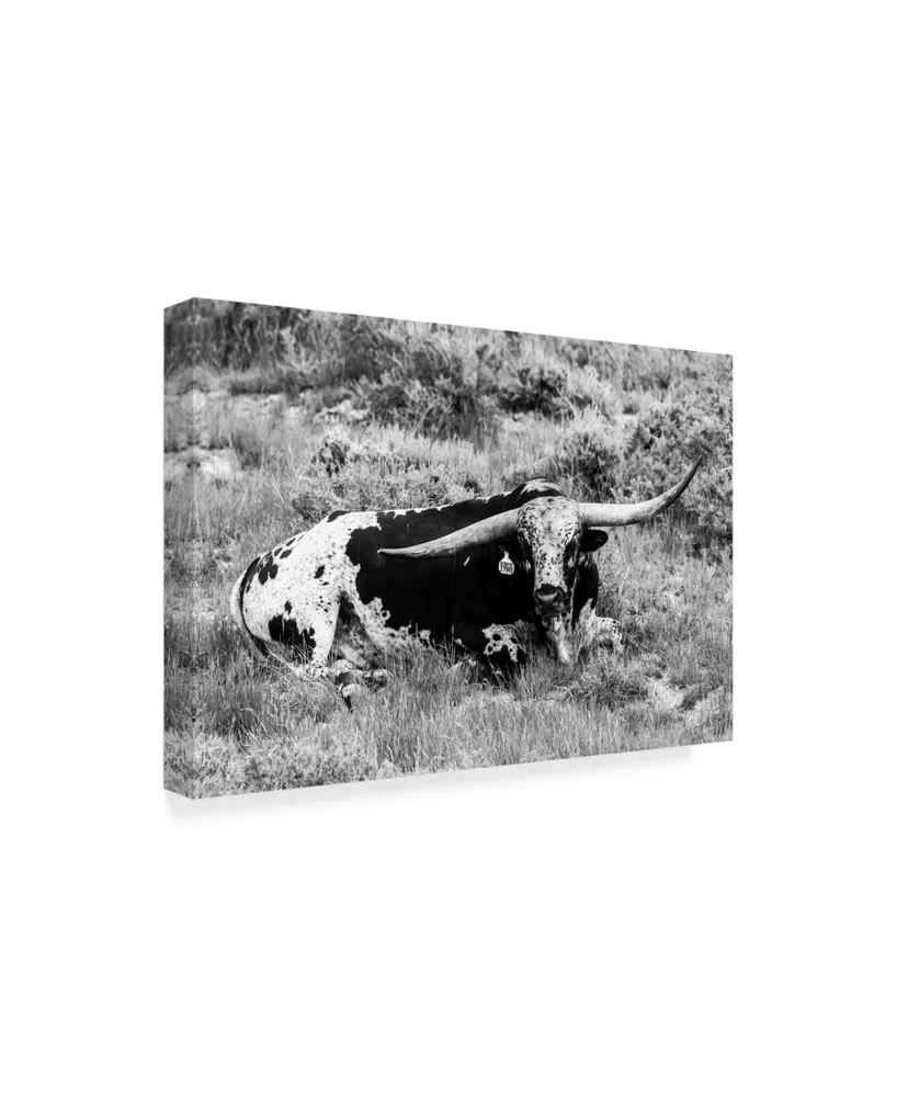 Tyler Stockton B&W Longhorn I Canvas Art - 20" x 25"