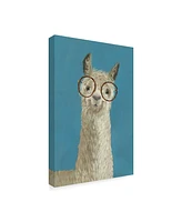 Victoria Borges Llama Specs Iii Canvas Art