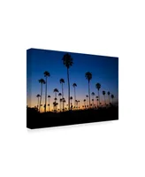 American School Palm Trees Ventura Canvas Art - 37" x 49"